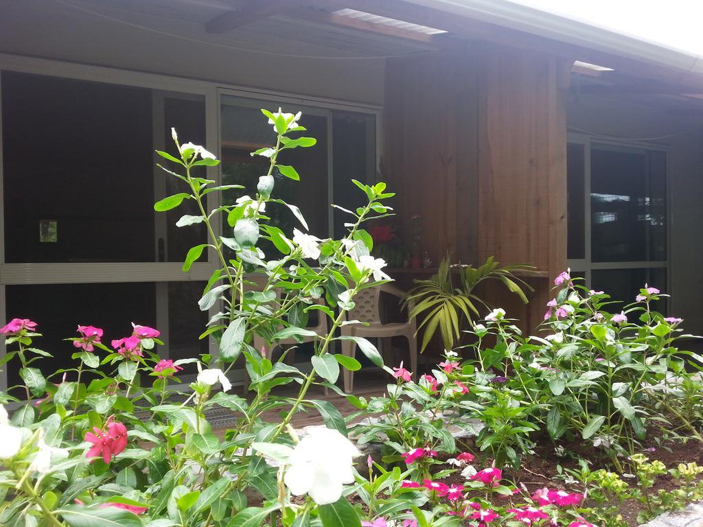 Gecko Lodge Fiji Savusavu Extérieur photo