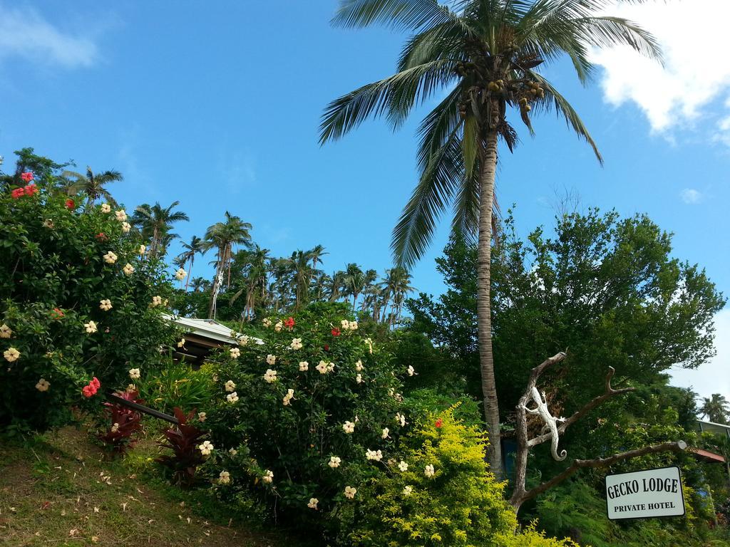 Gecko Lodge Fiji Savusavu Extérieur photo